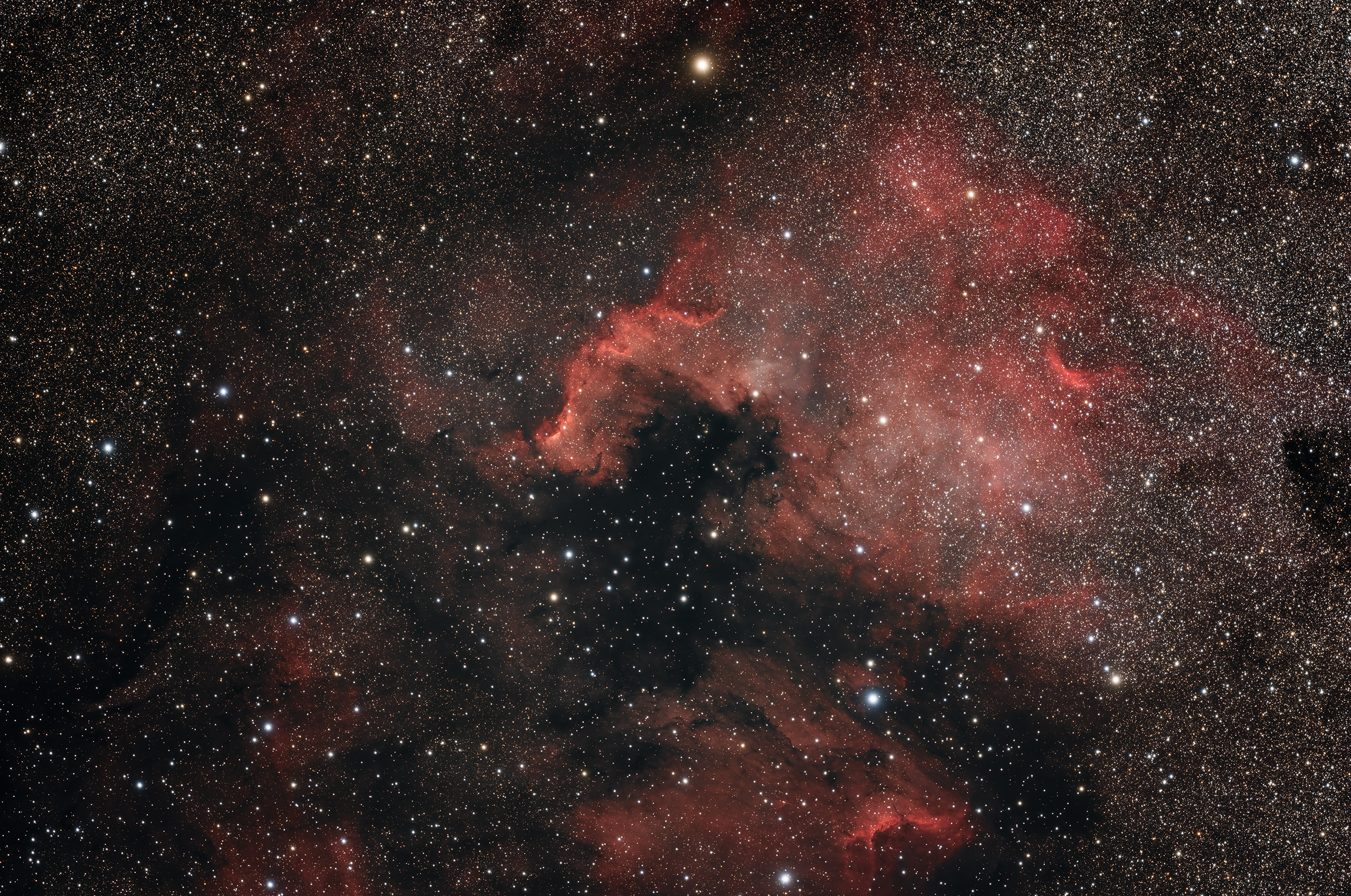 North America Nebula North America Nebula
