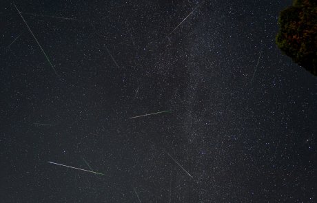 Perseids 2024 Meteor Shower