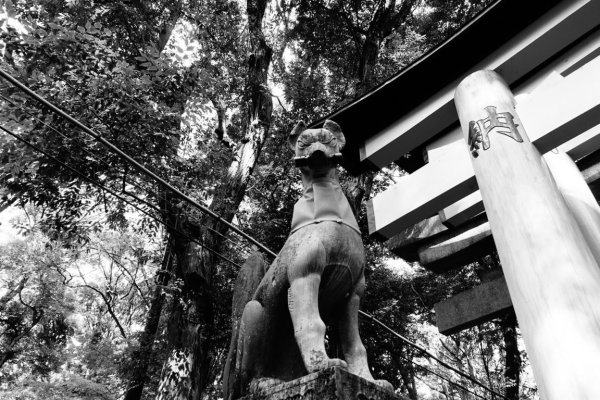 Kyoto Fushimi Inari Shrine