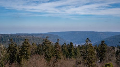 Baumwipfelpfad am Sommerberg in Bad Wildbad