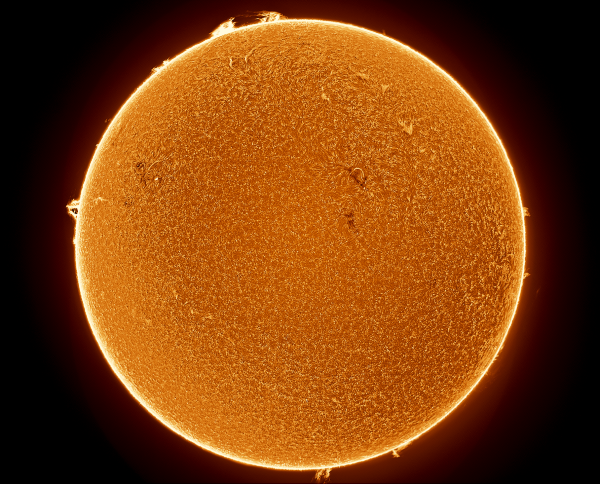 Solar H-Alpha Image