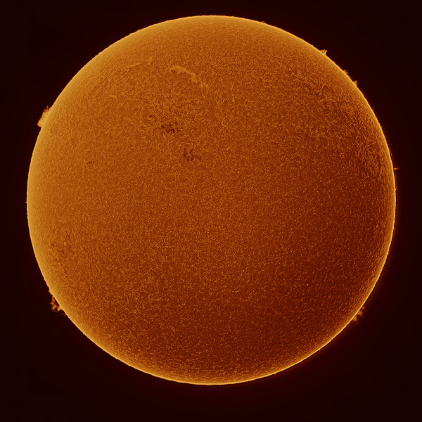Solar H-Alpha Image