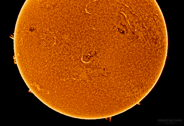 Solar H-Alpha Image
