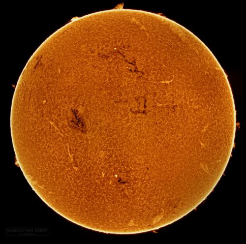 Solar H-Alpha Image