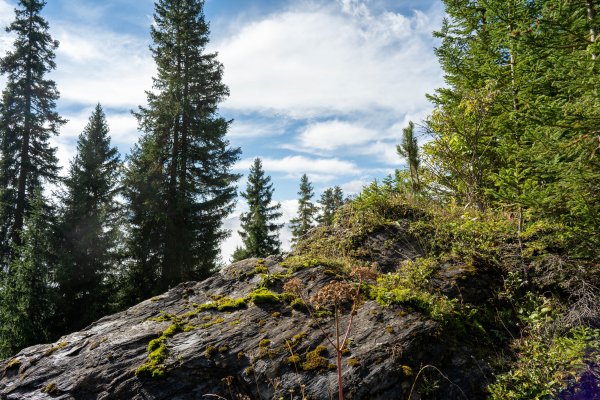 Serfaus - Fiss - Ladis